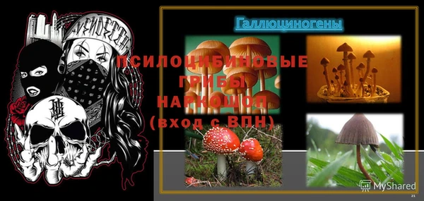 стаф Осташков