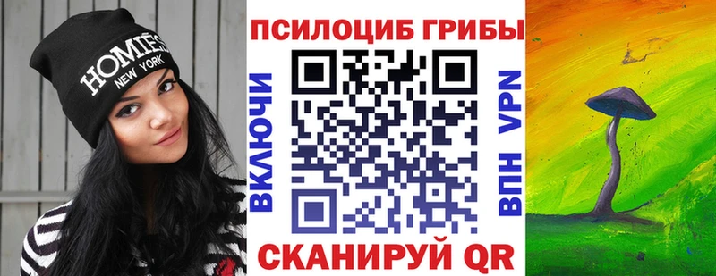 купить наркотики цена Удачный Псилоцибиновые грибы мицелий